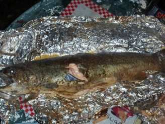 Stove Top Smoker Smoked Whole Trout Recipe  - Food.com Whole Rainbow Trout Recipe, Whole Trout Recipes, Rainbow Trout Recipe, Trout Recipe, Grilled Trout, Cooking Trout, Campfire Games, Campfire Recipes, Trout Recipes