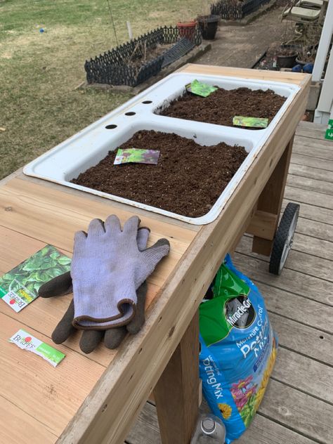 Lettuce planted in my old sink built into a cedar board frame with cart wheels.  Wheels enable the lettuce table to be moved into the shade on the deck when the weather turns warmer. Lettuce Table, Old Kitchen Sink, Wheelbarrow Storage, Gardening Table, Cedar Board, Table On Wheels, Old Sink, Wheel Barrow, Sink Ideas