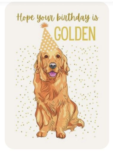 Happy Birthday With Golden Retriever, Golden Retriever Happy Birthday Wishes, Golden Retriever Birthday Wishes, Doggie Birthday Wishes, Happy Birthday Wishes Dog Lover, Birthday Cards Animals, Golden Retriever Birthday Party, Happy Birthday Dog Lover, Happy Birthday Golden Retriever