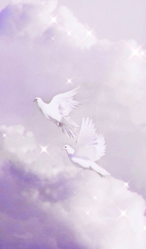 #wallpapers #doves #aesthetic #clouds #birds Dove Bird Wallpaper, Dove Bird Aesthetic, Dove Aesthetic Wallpaper, Dove Wallper Aesthetic, Dove Wallper, Dove Aesthetic Bird, Aesthetic Bird Wallpaper, Bird Wallpaper Aesthetic, White Dove Aesthetic