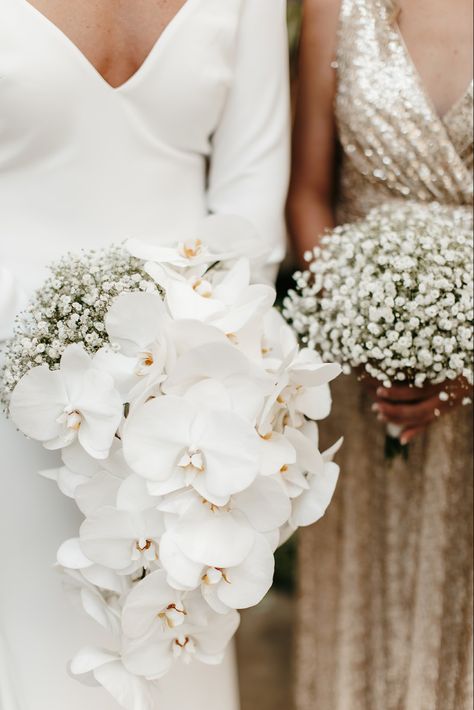 All White Wedding Reception, White Orchid Bouquet, Orchid Bridal Bouquets, White Orchid Wedding, White Wedding Reception, Orchid Bouquet Wedding, Bridal Bouquet Summer, Wedding Flower Guide, White Weddings Reception