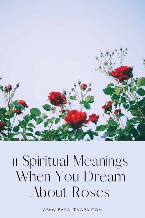 11 Spiritual Meanings When You Dream About Roses Rose Meaning, Burning Rose, Color Symbolism, Red Bouquet, Dream Meanings, Rose Stem, Language Of Flowers, Beautiful Dream, Spiritual Meaning