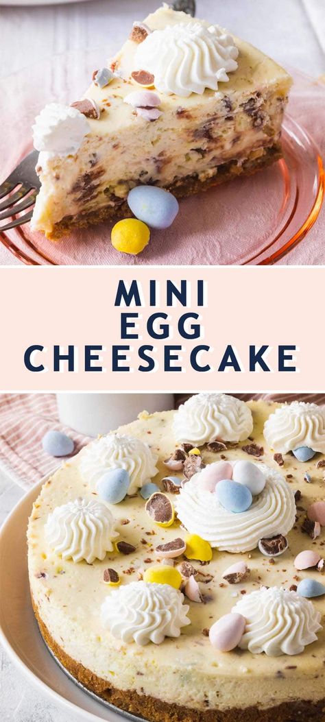 Easter Egg Cheesecake, Mini Egg Cheesecake, Cheesecake Easter, Desserts Cheesecake, Bunny Cakes, Easter Cheesecake, No Egg Desserts, Cadbury Eggs, Desserts Ideas