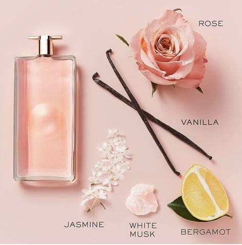 SOPHISTICATED & MODERN: This fresh and floral women‘s perfume bursts with notes of citrus, rose, jasmine, and white musk and is layered over a vanilla perfume base Lancome Perfume, Jasmine White, Vanilla Patchouli, Pink Peppercorn, Rose Scent, Vanilla Perfume, Fragrance Bottle, Clean Fragrance, Unique Roses