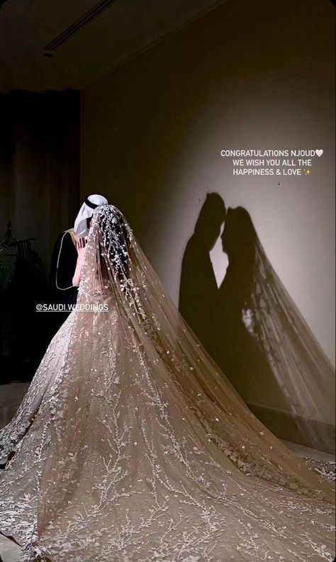 Arabian Wedding, Bride Dress Simple, Sparkly Wedding Dress, Wedding Planning Decor, Arab Wedding, Classy Wedding Dress, Wedding Design Decoration, Wedding Picture Poses, Pretty Wedding Dresses