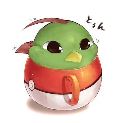 Natu :D Natu Pokemon, Pokemon Fashion, Pokemon Fanart, Pokemon Breeds, Pokémon Art, Pokemon Cosplay, Pokemon Stuff, Nice Art, All Pokemon