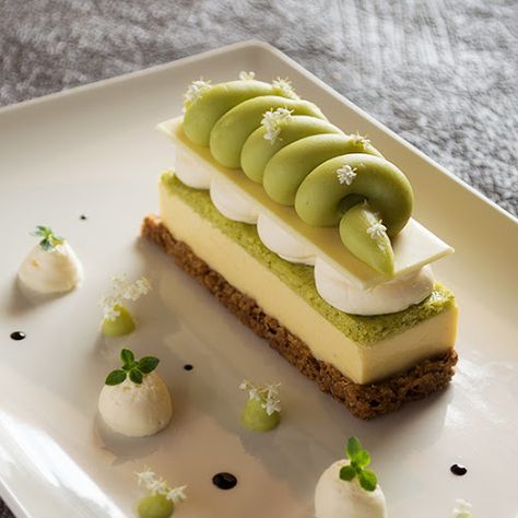 Postres con estilo | Recetas de postres elegantes y con estilo! Patisserie Fine, Dessert Presentation, Mousse Dessert, Gourmet Desserts, Beautiful Desserts, A Piece Of Cake, Fancy Desserts, Plated Desserts, Baking And Pastry