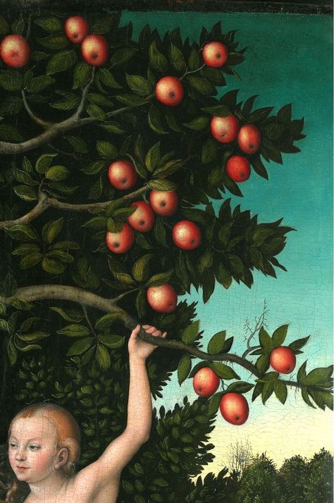 «Adam and Eve» by Lucas Cranach the Elder | 1472–1553 Adam And Eve Apple, Garden Of Eve, Cranach The Elder, Lucas Cranach, Apple Painting, Rennaissance Art, Future Ideas, Garden Of Eden, A Level Art