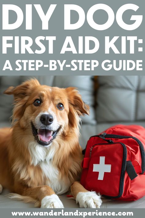 Create your own customized dog first aid kit with this easy-to-follow guide. We'll walk you through the essential supplies and show you how to organize them for quick access in an emergency. Dog Zip Line, Dog First Aid Kit, Pet First Aid Kit, Dog First Aid, Dog Camping Gear, Portable Dog Kennels, Pet First Aid, Reactive Dog, Dog Camping