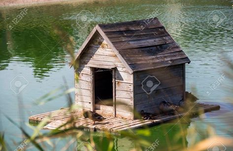 Houses On Water, Duck House Diy, Duck House Plans, Duck Houses, Chook Pen, Duck Island, Duck Coop, Climate Adaptation, Farm Pond