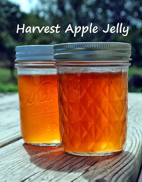 How to make delicious Harvest Apple Jelly Preserving Apples, Canning Apples, Mountain Woman, Canning Fruit, Apple Jelly, Canning Jam, Canning Food Preservation, Canned Food Storage, Homemade Jelly