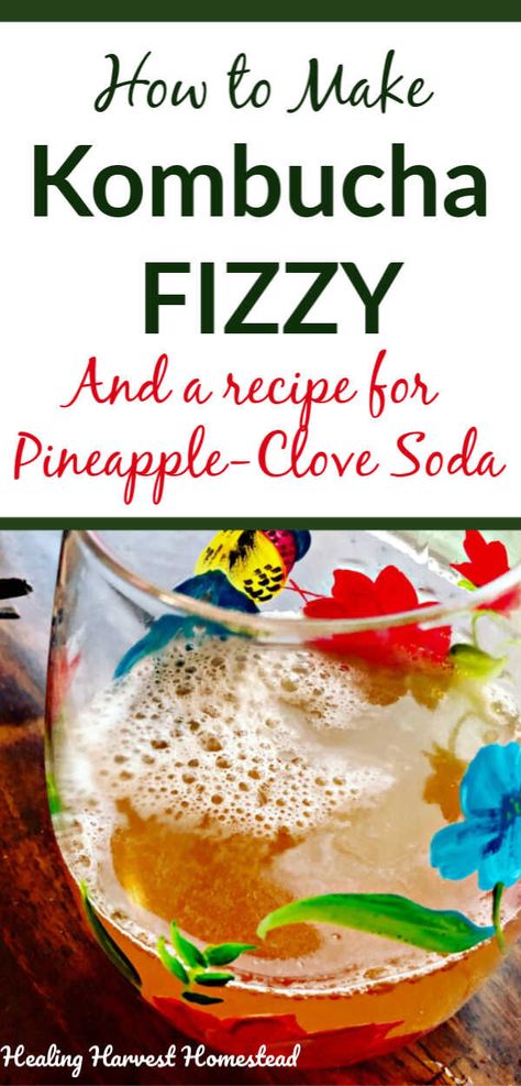 Fermented soda, also called kombucha, is rich in pro-biotics, super healthy, and absolutely delicious! Find out how to do a second ferment which causes extreme carbonation if done correctly—make your own natural soda! I’m including my best recipe for a pineapple and clove kombucha that is out of this world! How to ferment kombucha, step by step. #ferment #kombucha #recipe #directions #pineapple #secondferment #fizzy #carbonate #naturalsoda #healthydrink #healthysoda #healingharvesthomestead Fermented Soda, Water Remedies, Pineapple Kombucha, Soda Substitute, Pro Biotics, Natural Soda, Kombucha Recipes, Kombucha Brewing, Make Kombucha