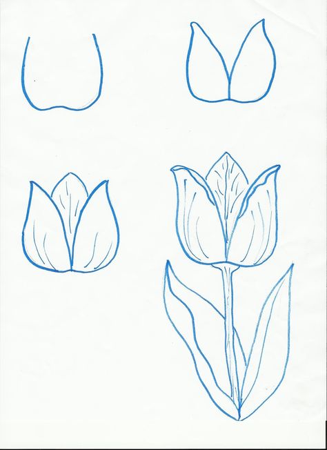 More Flowers for Spring | Art class ideas Hawaiian Flower Drawing, Simple Flower Drawing, Tulip Drawing, Flower Step By Step, Easy Drawing Steps, Drawing Hands, Flower Sketches, Simple Pictures, Pretty Drawings