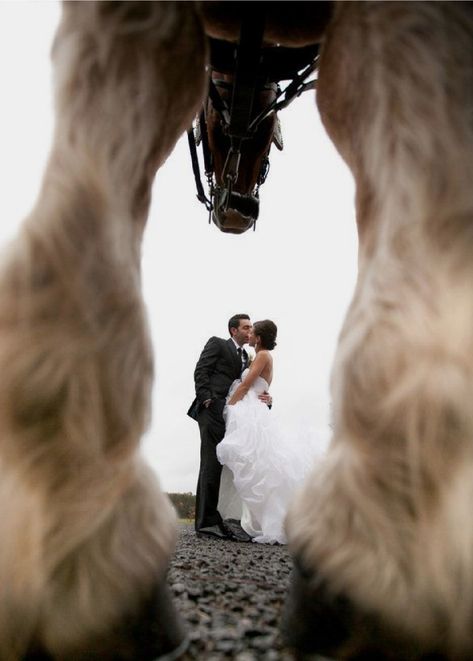 Horse Wedding Photos, Equestrian Wedding, Foto Cowgirl, Pictures With Horses, Horse Wedding, Boda Mexicana, Photographs Ideas, Foto Tips, Fun Wedding Photography