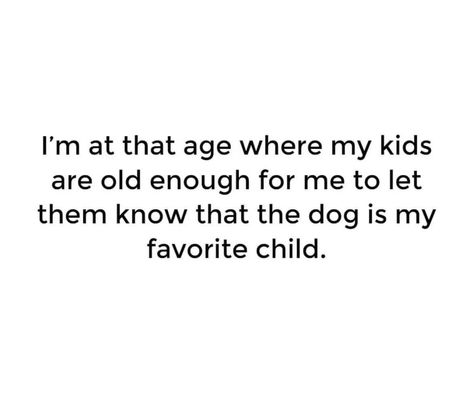 Gsp Dogs, Dry Sense Of Humor, Dog Quotes Funny, Crazy Dog Lady, Dog Lady, Pet Signs, Dog Mama, Pet Life, Crazy Dog