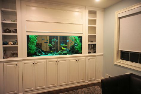 Aquariums - Aqua Creations Build A Tv Stand, Fish Tank Wall, Aquarium Pictures, Custom Aquarium, Fish Tank Stand, Fish Tank Design, Built In Shelves Living Room, Fishing Room, Aquarium Stand