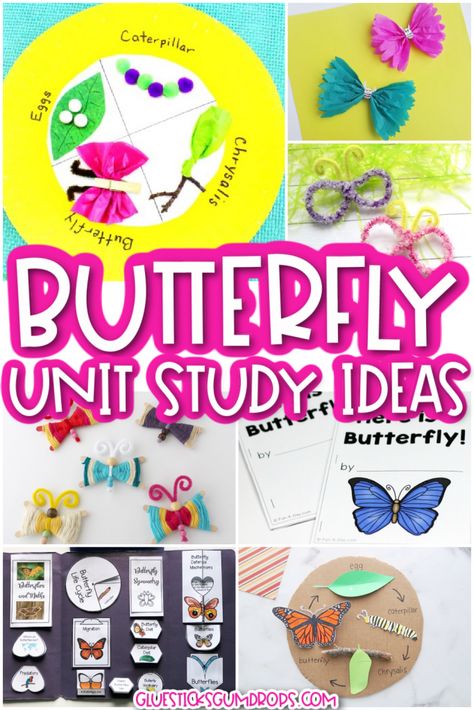 Butterfly Unit Study Kindergarten, Butterfly Science Activities Preschool, Butterfly Science Project, Butterfly Experiment, Butterfly Science Activities, Butterfly Unit Study, Creative Pathways, Garden Unit Study, Insect Unit Study