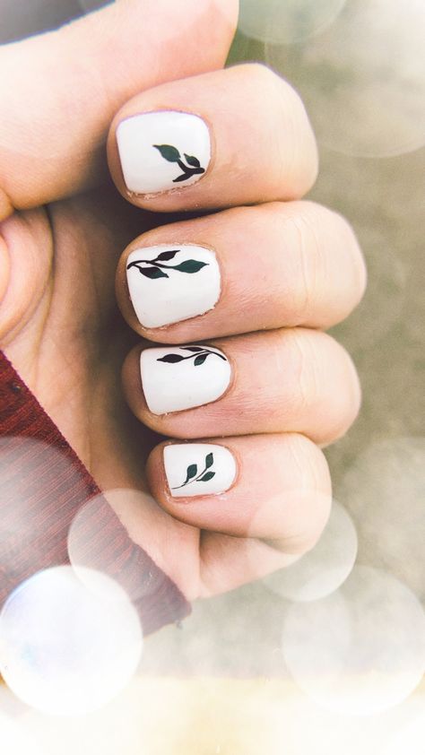 Hand curled showing four white nails with black leaf nail art White And Black Wedding Nails, Nail Art Leaf Design, Leaf Design On Nails, Black Leaf Nails, Nail Leaf Design, Nails With Leaf Design, Nail Art Leaves, Leaf Nail Art Designs, Black Wedding Nails