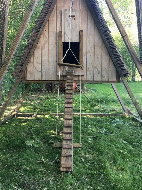 Predator Proof Chicken Coop Essentials You Need to Know Critter Proof Chicken Coop, Concrete Chicken Coop, Predator Proof Chicken Coop, Goose House, Chicken Tractors, Knee Wall, Chicken Tractor, Hardware Cloth, Chicken Wire