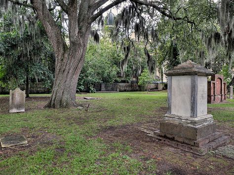 The Haunted History of Savannah's Colonial Park Cemetery Haunted History, Strange History, Haunted Hotel, Most Haunted Places, Hanging Tree, Viking History, Most Haunted, Savannah Georgia, Haunted Places