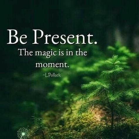 Spiritual Beings Having A Human, Citation Nature, Forest Therapy, Mind Healing, Balance Life, Quotes Daily, Be Present, Nature Quotes, Powerful Quotes