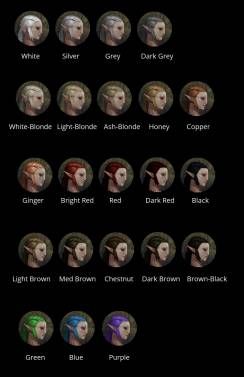 HAIR COLOR CHART Dai Inquisitor, Which Hair Colour, After Earth, Dragon Age 3, Dragon Age Games, Dragon Age Series, Female Elf, Hair Color Chart, Art Dragon