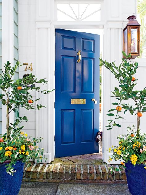 Blue Door Bold Front Door, Best Front Door Colors, Best Front Doors, Blue Front Door, Front Door Paint Colors, Door Paint Colors, Painted Front Doors, Best Paint Colors, Casa Exterior