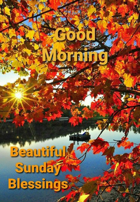 Sunday Fall, Sunday Morning Wishes, Fall Sunday, Happy Sunday Images, Good Morning Sunday, Good Morning Sunday Images, Sunday Morning Quotes, Sunday Greetings, Good Sunday Morning