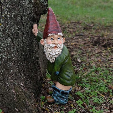 Funny Garden Gnomes, Garden Gnomes Statue, Funny Gnomes, Gnome Statues, Gnome House, Lawn Ornaments, Garden Christmas, Garden Gnome, Christmas Garden