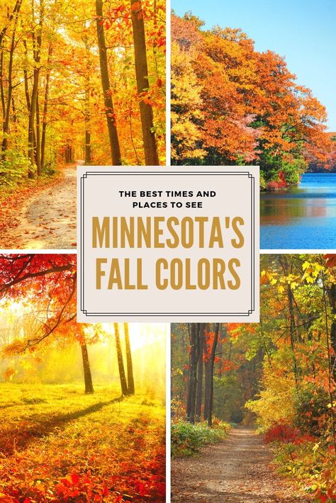 Plan out your fall color viewing & don't miss the best times and places to see fall colors in Minnesota! Minnesota Fall Trips, Fall In Minnesota, Midwest Camping, Minnesota Hiking, Minnesota Life, Camping Activities For Kids, Minnesota Nice, Minnesota Travel, Fall Vacations