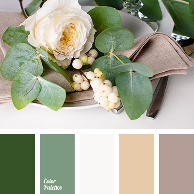 Wonderful, reserved and noble palette. Nothing is loud or flashy – only calm, natural colors. Pastel, soft shades of sand, coffee with milk, mint and deep. Green Ivory Color Palette, Green Beige Color Palette, Green White Palette, Green White Color Palette, White And Green Color Palette, Green And White Color Palette, White And Green Color Scheme, Palette House, In Color Balance