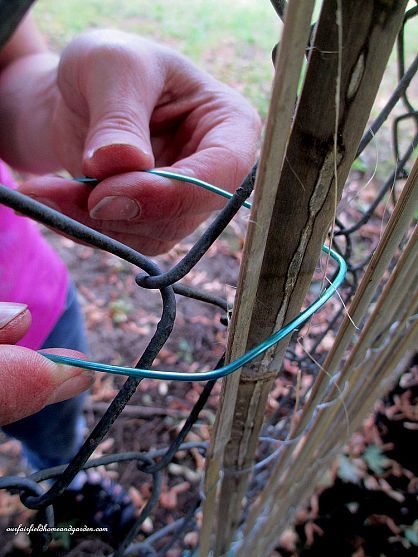 DIY ~ Beautify a Chain Link Fence With Bamboo! Garden Diy Ideas, Diy Fence, Meteor Garden 2018, Bamboo Fence, Magic Garden, Pergola With Roof, Fence Decor, Chain Link Fence, Diy Pergola