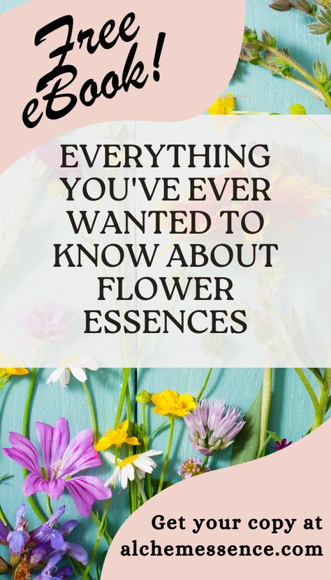 Discover the magic of flower essences in this beautiful 20+ ebook. Learn how these elixirs work, how to choose the right essences for you, and more. This guide is FREE for a limited time! Flower Essences Remedies, Water Experiments, Bach Flowers, Healing Remedies, Flower Essences, Healthy Boundaries, Shadow Work, Holistic Wellness, Holistic Healing