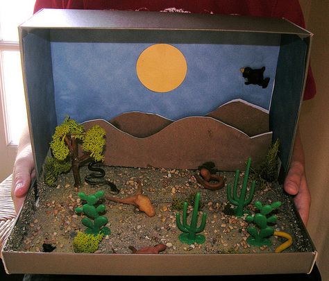 Cute shoe box diorama made with some sand (found at hobby stores), paper (craft stores), and fake trees/bushes (also found at hobby stores) Ecosystems Diorama, Shoe Box Diorama, Desert Crafts, Desert Diorama, Biomes Project, Diorama Kids, Diarama Ideas, Ecosystems Projects, Shoe Box Crafts