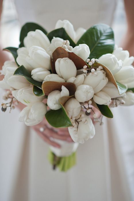 Tulip Bridal Bouquet, Lilac Wedding Bouquet, Tulip Wedding, Winter Wedding Bouquet, Flowers Tulips, Winter Wedding Flowers, Tulip Bouquet, White Wedding Bouquets, Trendy Flowers