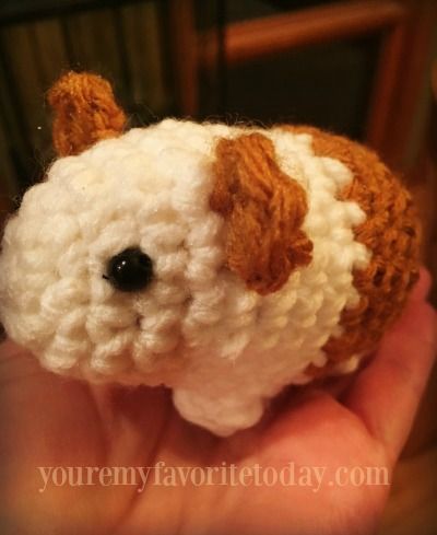 Crochet Guinea Pig Pattern Free, Guinea Pig Crochet, Pig Crochet, Big Yarn, Crochet Plushie, Pet Guinea Pigs, Next Friday, The Friday, Friday Favorites