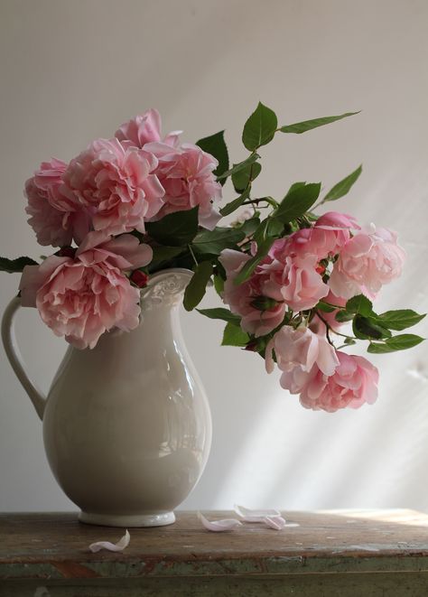 Albertine Pink Rose Pink Flowers In Vase Aesthetic, Flower Vase Reference Photo, Vase Of Flowers Photography, Flower Vase Reference, Vase Reference, Flowers Still Life Photography, Rose Flowers Drawing, Rose Still Life, Decoration Craft Ideas