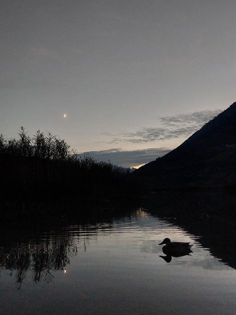 #lake #night #midnight #sky #aesthetic #moon #moonlight #moonshine #nightsky #midnightsky #duck #ducks #water #lake #river Night River Aesthetic, Midnight Sky Aesthetic, Sky Aesthetic Moon, Lake Night, Aesthetic Moon, Midnight Sky, Moon River, Night Vibes, Summer Ideas