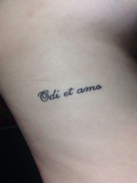 Odi et amo. Latin for I love and I hate. By Catullus, a famous Latin poet Latin Tattoo, Tattoo Fixes, Odi Et Amo, Love Tattoos, Tatting, Tattoo Quotes, Tattoo Ideas, I Love, Tattoos