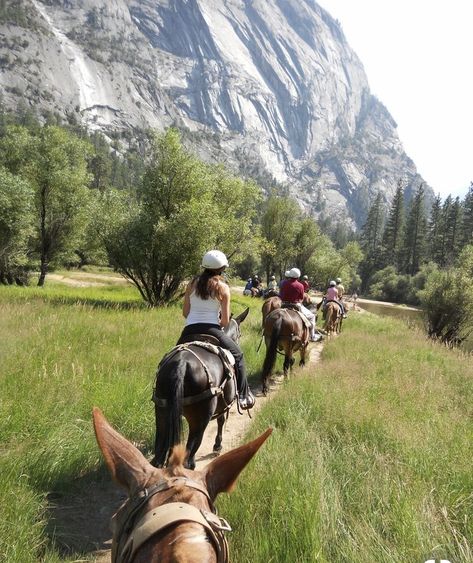 Horse back riding Family Horse Riding, Mule Riding, Yosemite National Park Lodging, Horses Breeds, Horse Back Riding, Yosemite Trip, Trail Ride, Yosemite Park, Mammoth Cave