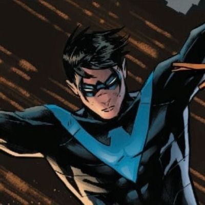 | 𝐑𝐞𝐪𝐬 𝐫 𝐨𝐩𝐞𝐧.| Nightwing Laptop Wallpaper, Nightwing Icon, Nighwing, Night Wing, Dc Icons, Dc Comics Artwork, Batman Family, Detective Comics, Dc Characters