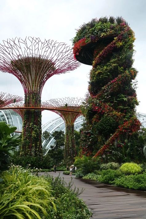 Singapore Gardens By The Bay, Futuristic Garden, Gardens By The Bay Singapore, Singapore Garden, Garden Paradise, Minimalist House, Minimalist House Design, Gardens By The Bay, Lush Greenery