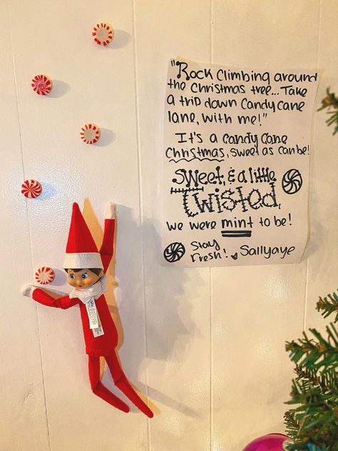 Elf On The Shelf Rock Climbing, Elf Classroom, Elf On The Shelf Idea, Shelf Ideas, On The Shelf, The Elf, Rock Climbing, Elf On The Shelf, Candy Cane