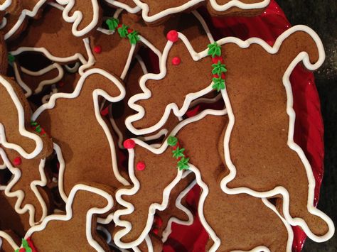 Easy Gingerbread Reindeer Cookies. Just bake reindeer cutouts, simply outline with royal icing, add red nose and green collar and Viola! Pretty Cookies! Reindeer Cutout Cookies, Reindeer Cookies Decorated, Christmas Reindeer Cookies, Gingerbread Reindeer, Cookie Contest, Reindeer Cookies, Gingerbread House Designs, Christmas Cookie Exchange, Decorator Icing