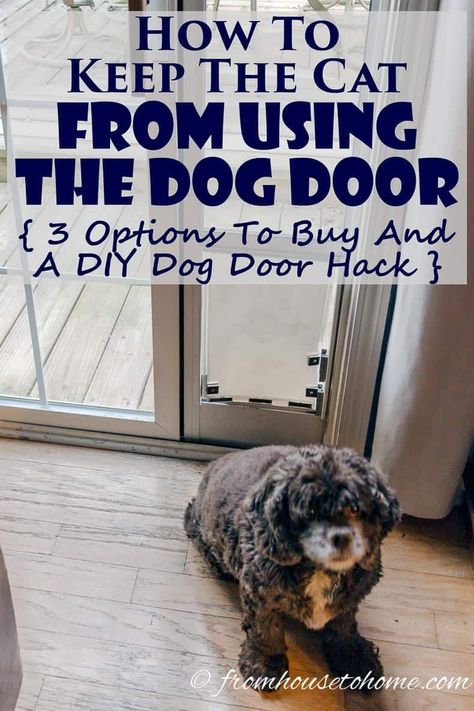 Want to keep your cats indoors while still letting the dog go in and out as he pleases? See our options for how to keep the cat from using the dog door. #fromhousetohome  #diydecorating #diytipsandtricks #pets #decorating Diy Doggie Door, Farmhouse Bedroom Wall, Interior Cottage, Dog Gates, Cheap Fall Decor, Cat Proofing, Pet Door, Dog Bath, Quirky Home Decor