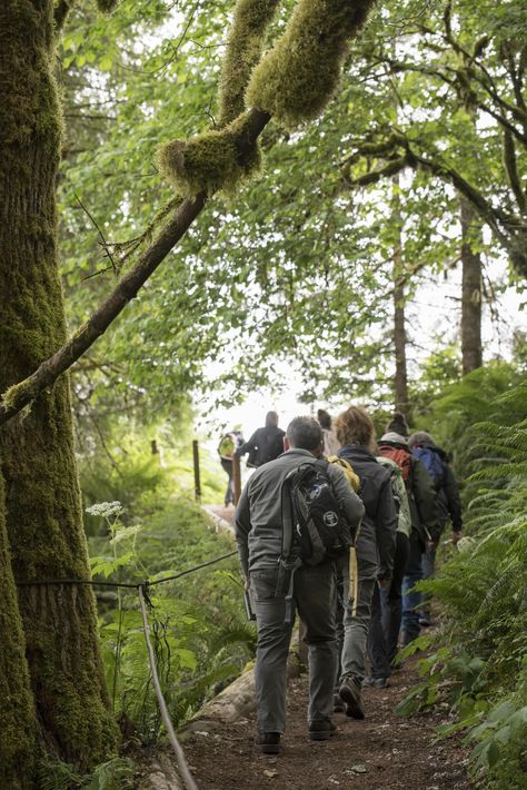 Top 5 things to consider when building a nature trail on your property | OSU Extension Service Nature Trail Design, Trail Building, Horse Trails, Travel Oregon, Trail Design, Nature Trails, Horse Trail, Eastern Oregon, Forest Trail