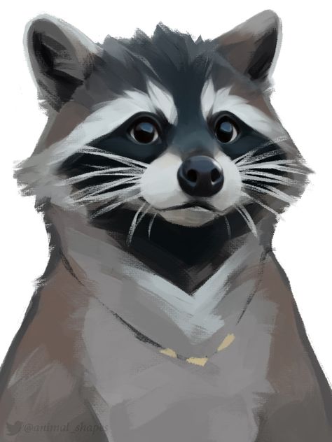 Raccoon Art, Wallpapers Desktop, Cute Raccoon, Raccoon Funny, Cool Wallpapers, Animal Sketches, Racoon, Drawing Images, Desktop Wallpapers