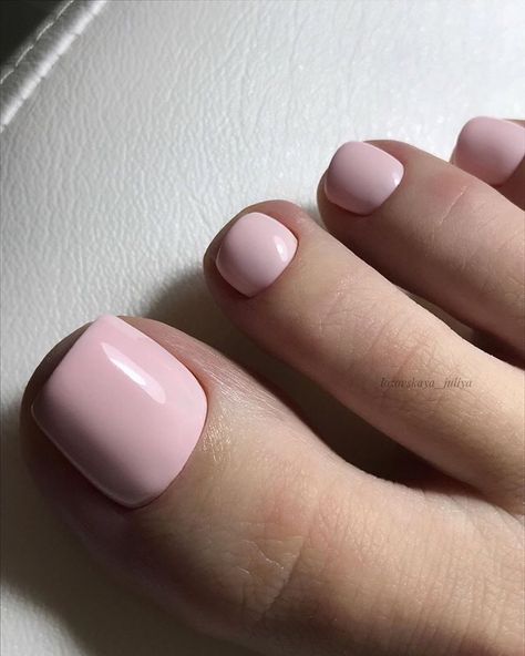 Pale Pink Pedicure, Light Pink Pedicure Toenails, Light Pink Pedicure, Short Rounded Acrylic Nails, Rounded Acrylic Nails, Pink Toe Nails, Pink Pedicure, Gel Toe Nails, Toe Nail Color