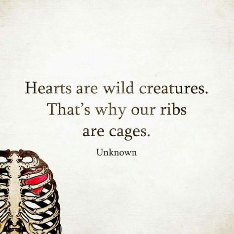 Hearts Are Wild Creatures, Wit And Wisdom, Wild Creatures, Piece Of Me, Quotes