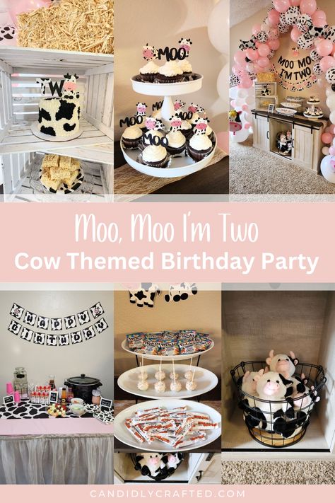 Cow themed birthday party decoration inspirtaion. Moo Two Birthday Party, Moo Moo I’m Two Birthday Party, Moo Im Two Birthday Girl, Moo Mosa Bar, Oink Baa Moo Im Two Party Food, Moo Moo Im Two Birthday, Cow Birthday Party Food, Moo Moo I’m Two, Cow Themed Birthday Party Food